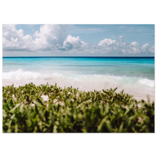 BEACH GREENS #2 POSTER, CURACAO