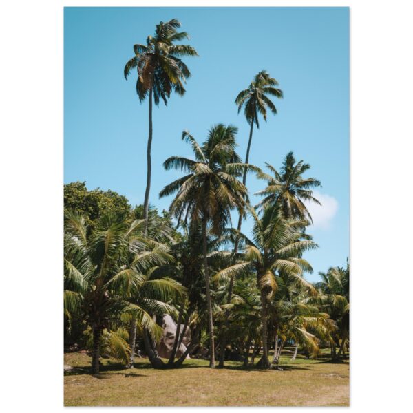 PALM TREES POSTER, SEYCHELLEN