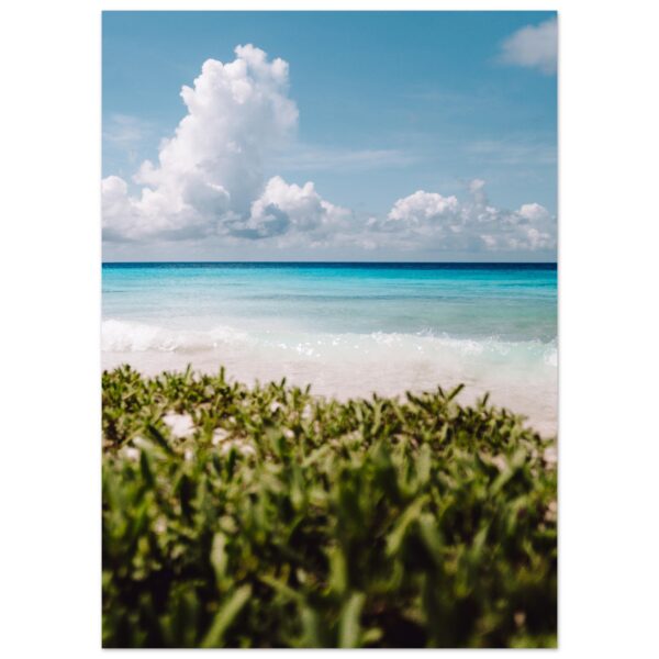 BEACH GREENS #1 POSTER, CURACAO