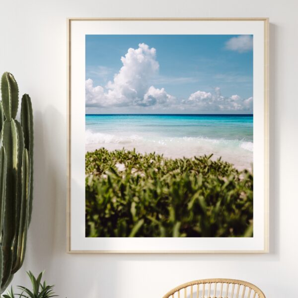 BEACH GREENS #1 POSTER, CURACAO – Bild 4