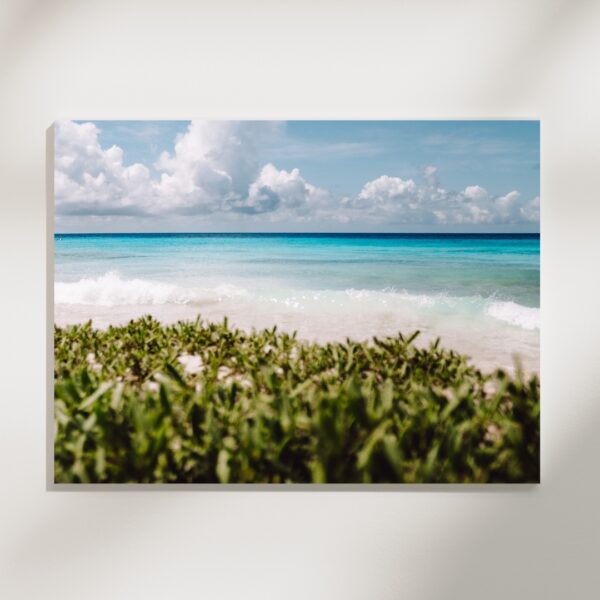 BEACH GREENS #2 POSTER, CURACAO – Bild 2