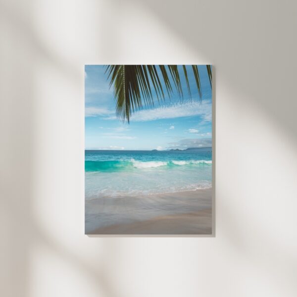 PALM LEAF POSTER, SEYCHELLEN – Bild 2