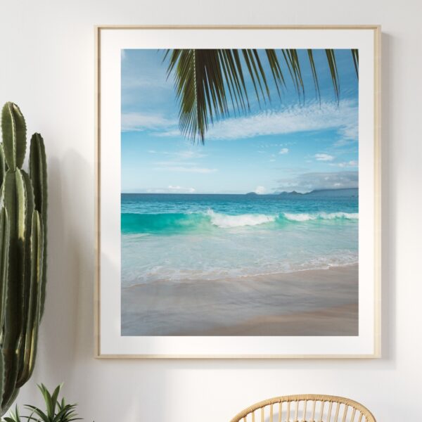 PALM LEAF POSTER, SEYCHELLEN – Bild 4