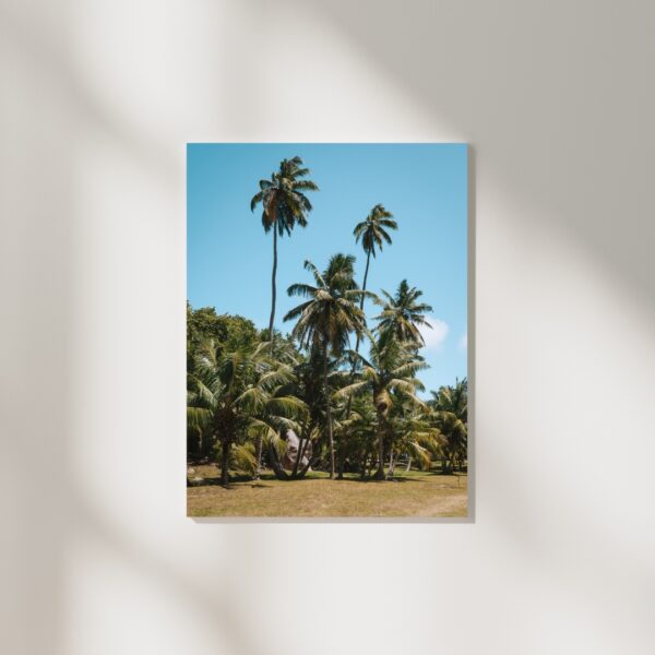 PALM TREES POSTER, SEYCHELLEN – Bild 2