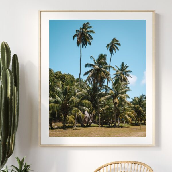 PALM TREES POSTER, SEYCHELLEN – Bild 4