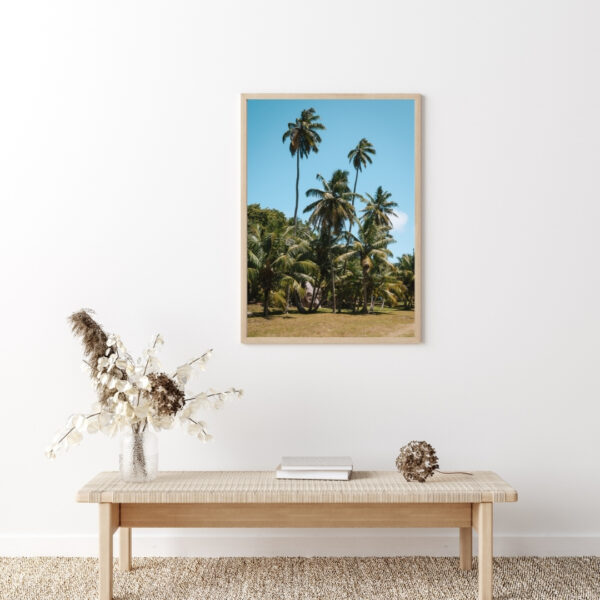 PALM TREES POSTER, SEYCHELLEN – Bild 5
