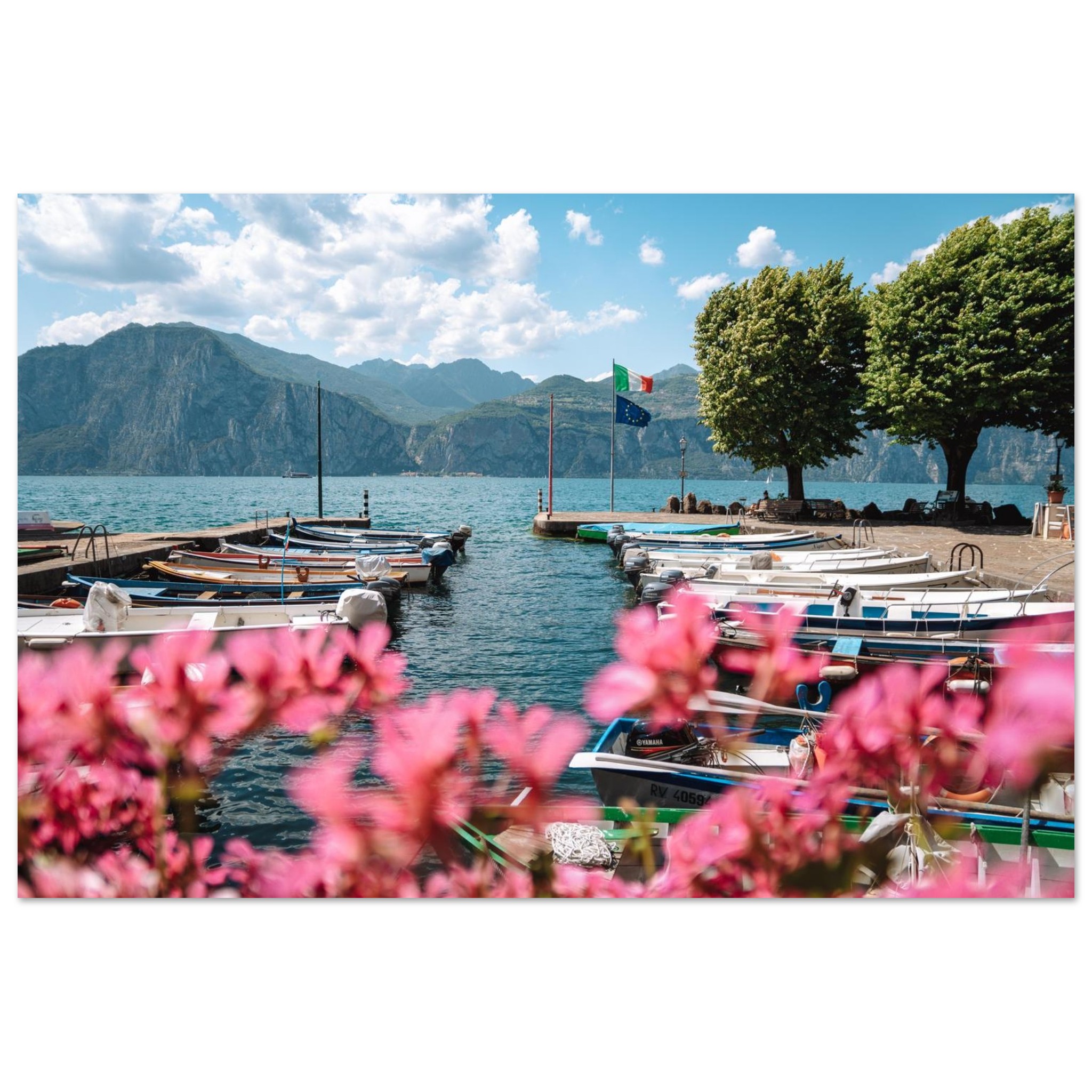 8363b1bc-6810-446c-8799-c28578669b59