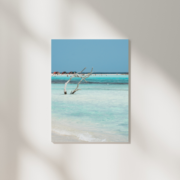 BABY DRIFTWOOD POSTER, ARUBA – Bild 2