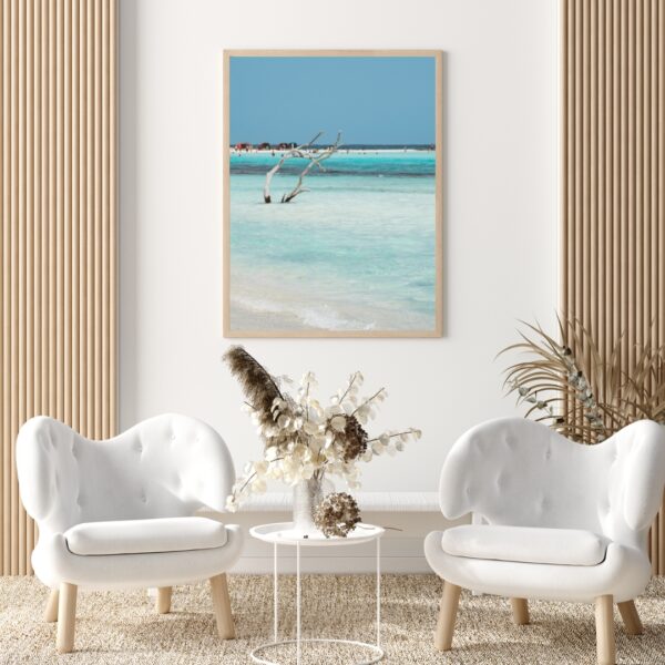BABY DRIFTWOOD POSTER, ARUBA – Bild 3