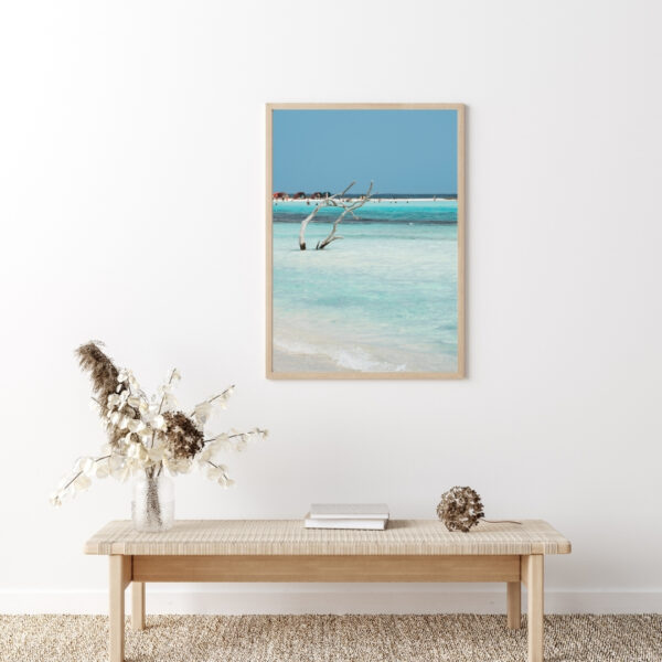 BABY DRIFTWOOD POSTER, ARUBA – Bild 4