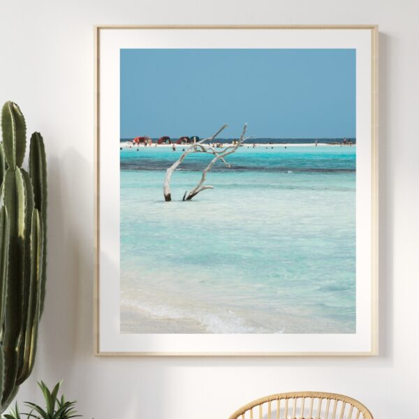BABY DRIFTWOOD POSTER, ARUBA – Bild 5