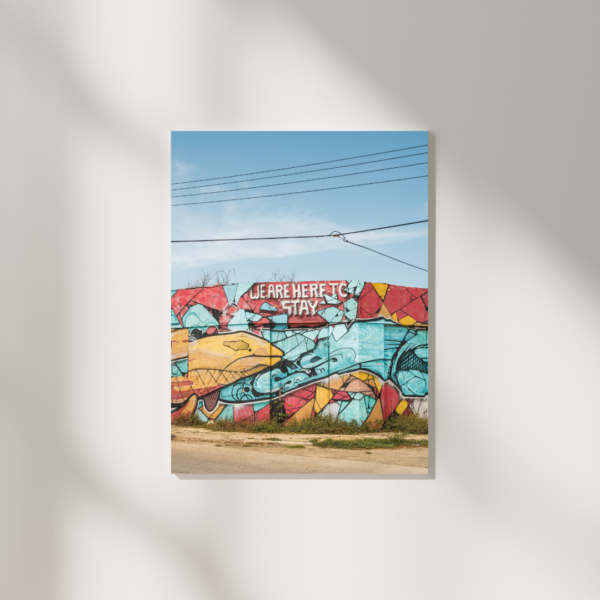 WE ARE HERE TO STAY POSTER, ARUBA – Bild 2