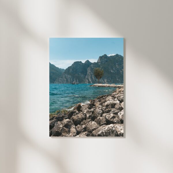 BEACH TREE POSTER, GARDASEE – Bild 2