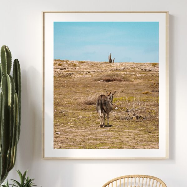 KISS MY ARSE POSTER, ARUBA – Bild 5