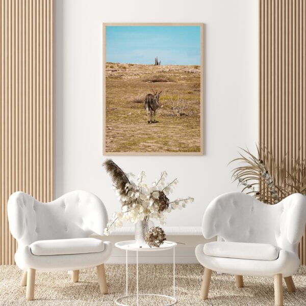 KISS MY ARSE POSTER, ARUBA – Bild 4