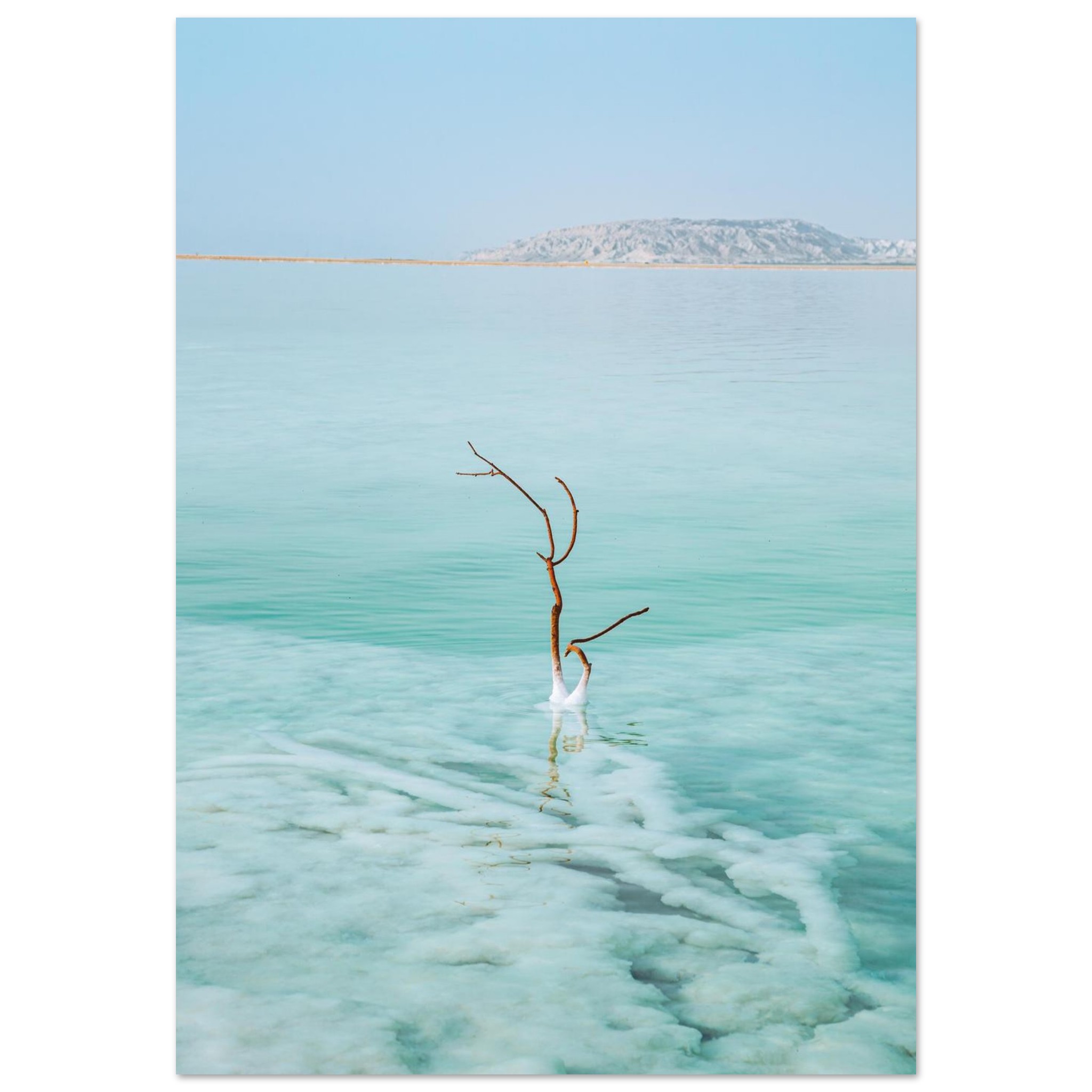 b70e42e9-63f1-407c-aef6-a956142f9214