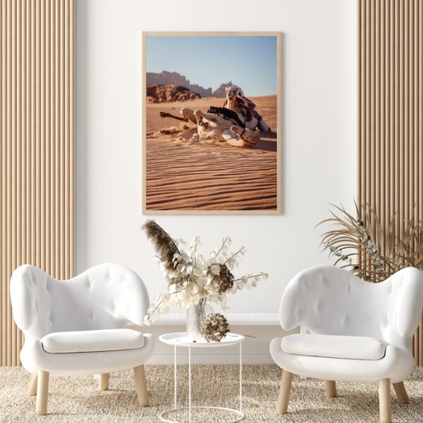 DESERT CAMELS #1 POSTER, JORDANIEN – Bild 4
