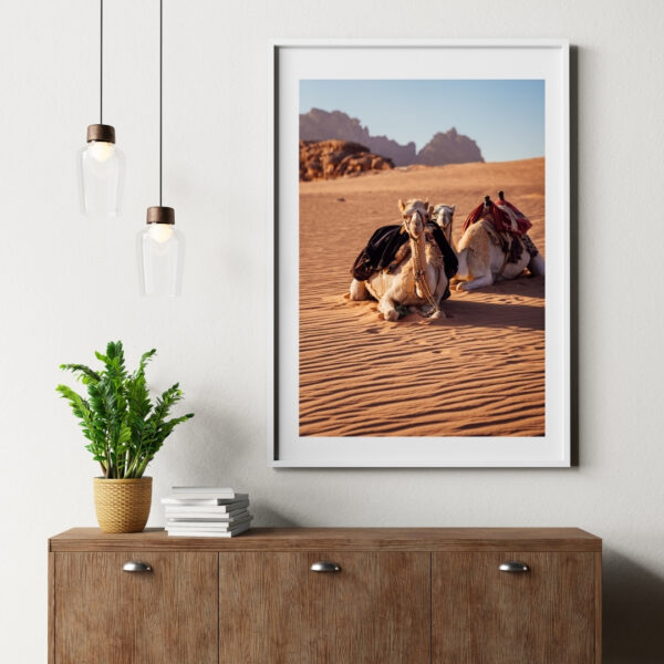DESERT CAMELS #2 POSTER, JORDANIEN – Bild 5
