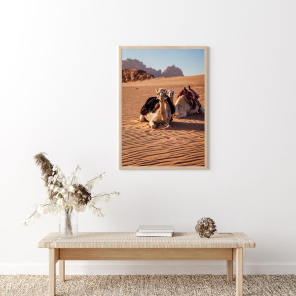 DESERT CAMELS #2 POSTER, JORDANIEN – Bild 4