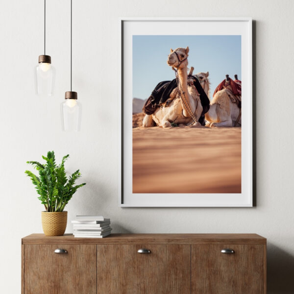 DESERT CAMELS #3 POSTER, JORDANIEN – Bild 4
