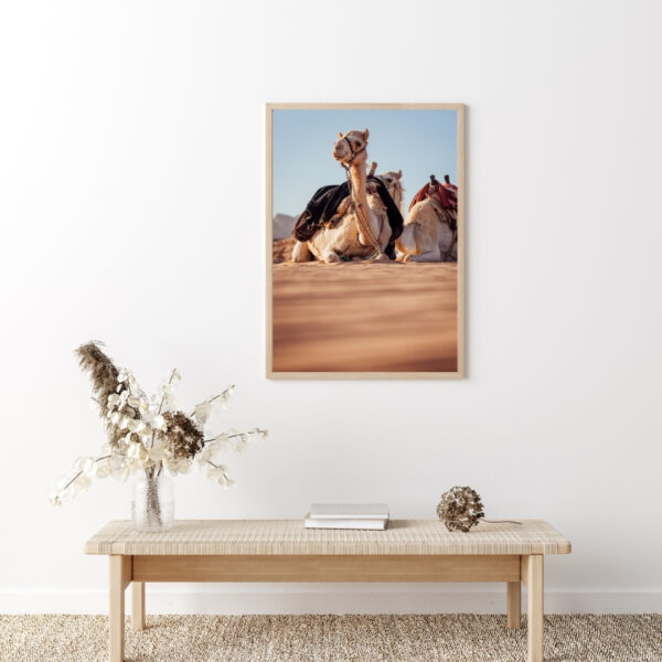 DESERT CAMELS #3 POSTER, JORDANIEN – Bild 5