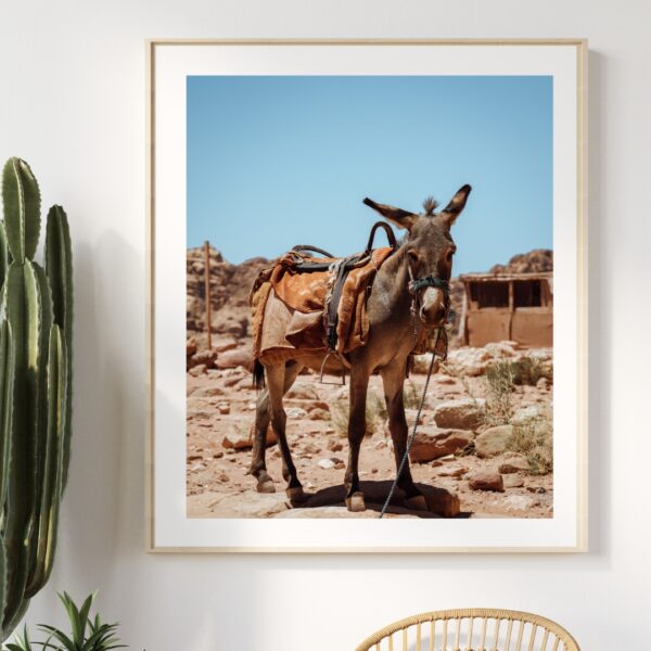 DESERT DONKEY POSTER, JORDANIEN – Bild 3
