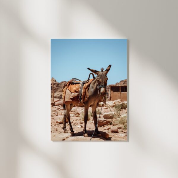 DESERT DONKEY POSTER, JORDANIEN – Bild 2