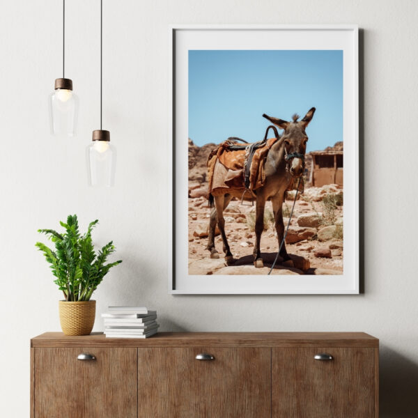 DESERT DONKEY POSTER, JORDANIEN – Bild 4