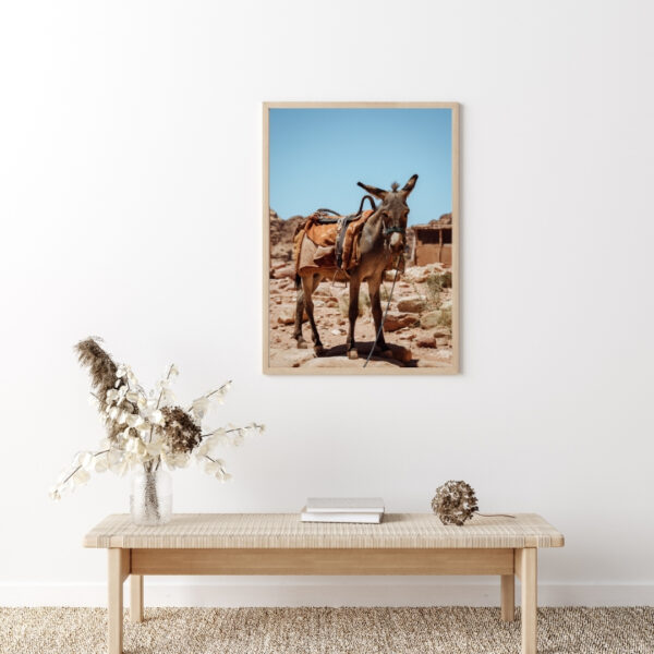 DESERT DONKEY POSTER, JORDANIEN – Bild 5