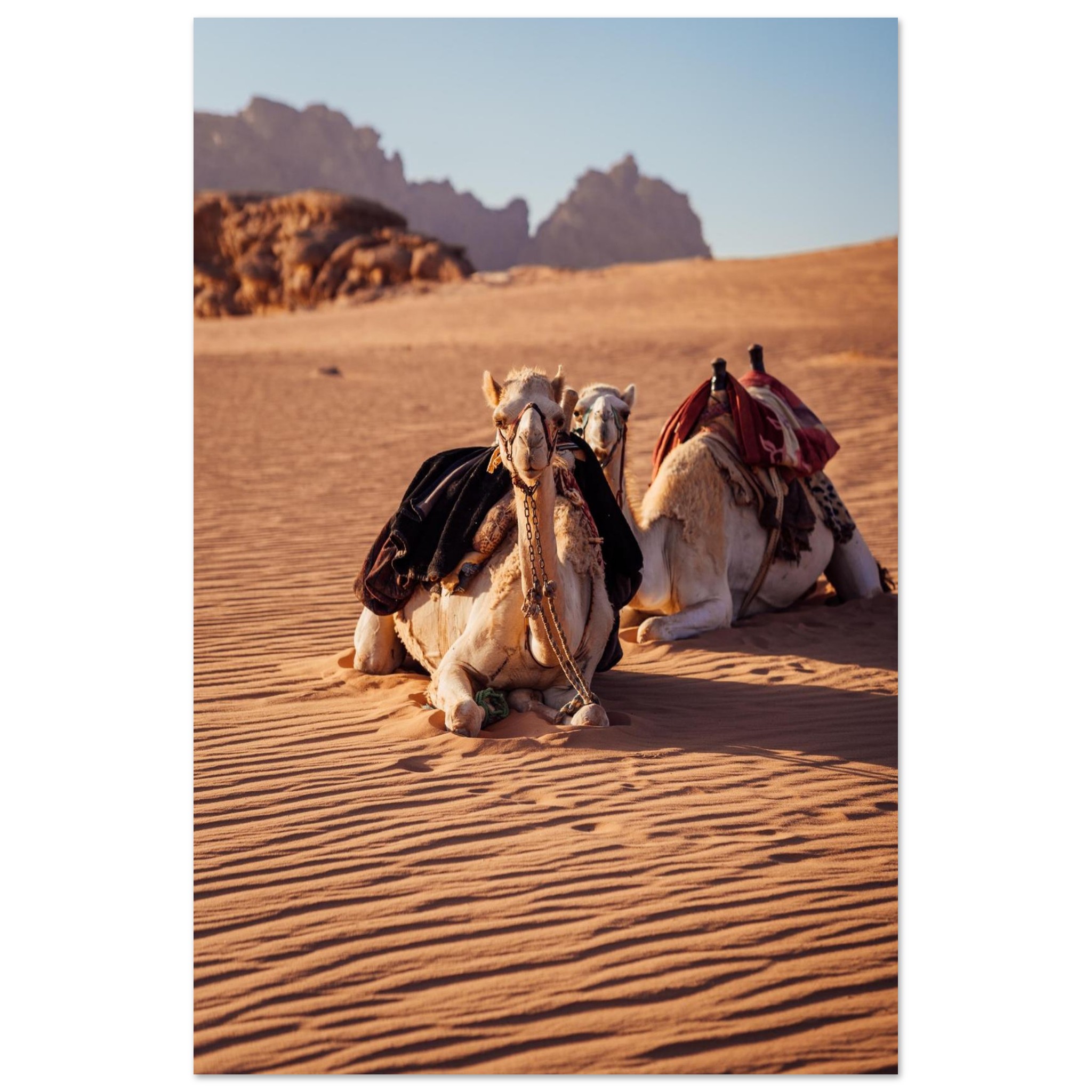 f3c31778-2c8f-459e-a1b4-d13d3d5f4c40