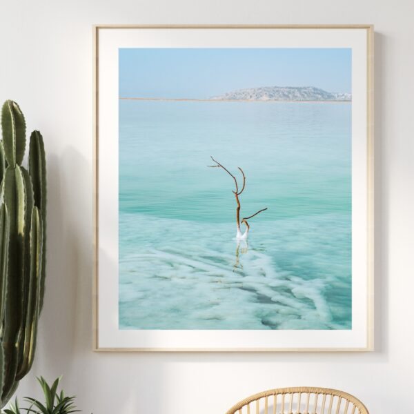 SALTY TREE POSTER, ISRAEL – Bild 4