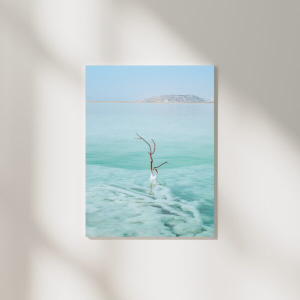 SALTY TREE POSTER, ISRAEL – Bild 2