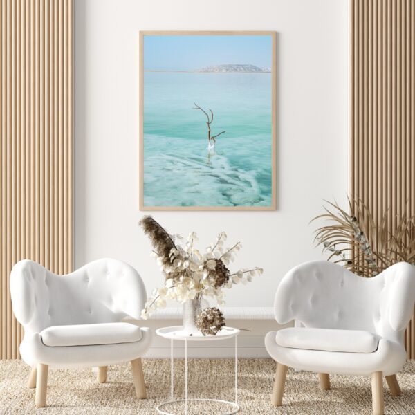 SALTY TREE POSTER, ISRAEL – Bild 3
