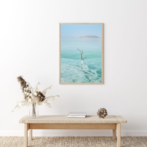 SALTY TREE POSTER, ISRAEL – Bild 5